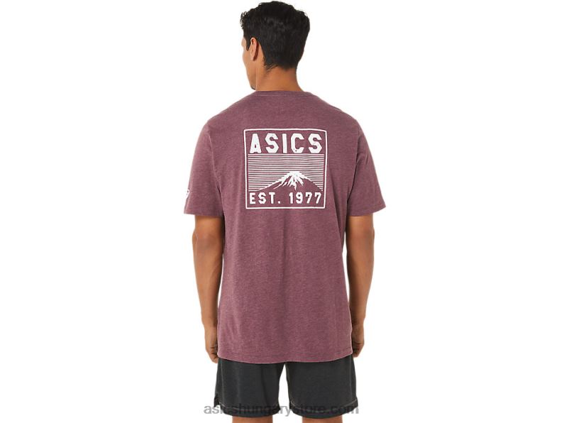 fuji 1977 tee Asics 0BNZ01265 mély mars hanga